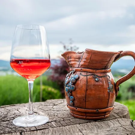 Vineyard Kump Σπίτι διακοπών *