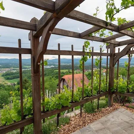 Vineyard Kump * Νόβο Μέστο
