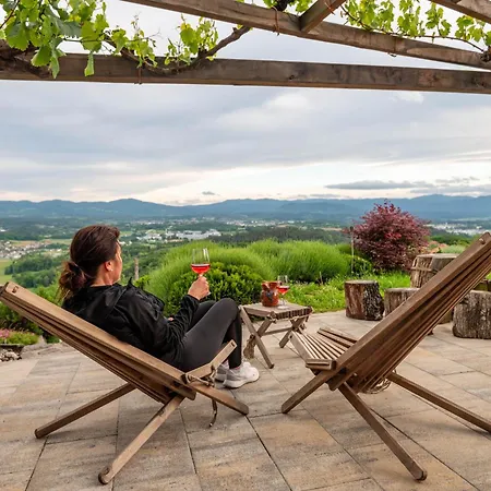 Vineyard Kump Novo Mesto