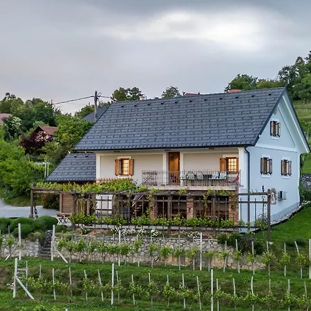 Vineyard Kump