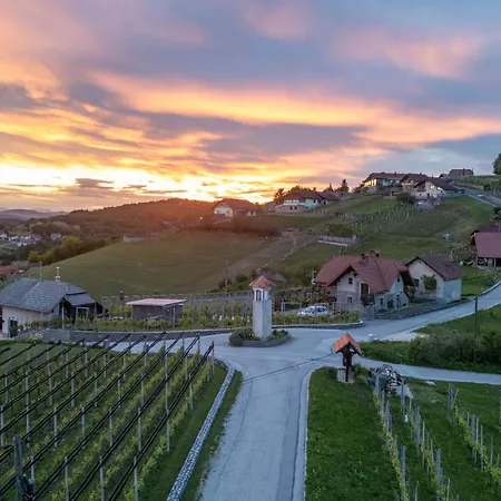 Vineyard Kump Νόβο Μέστο